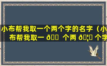 小布帮我取一个两个字的名字（小布帮我取一 🐠 个两 🦟 个字的名字怎么取）